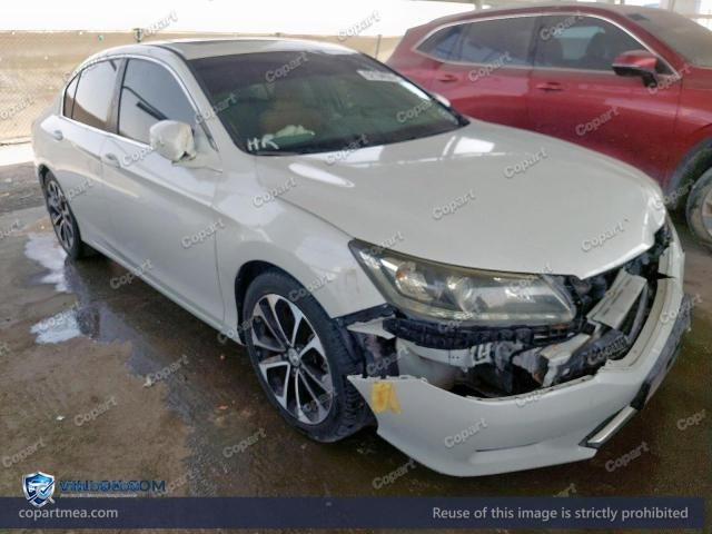 Auction photo