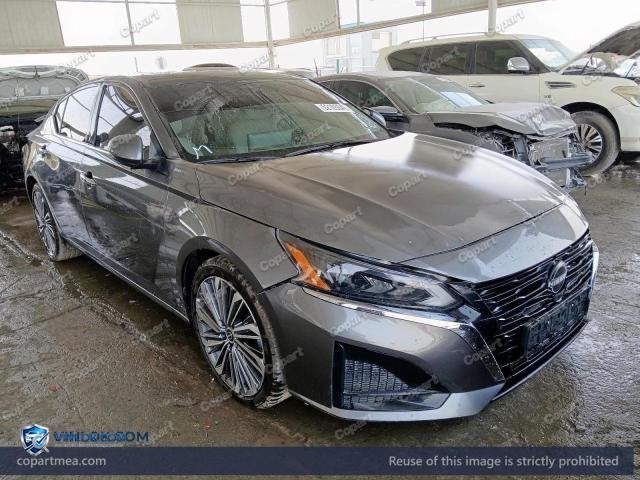 Auction photo