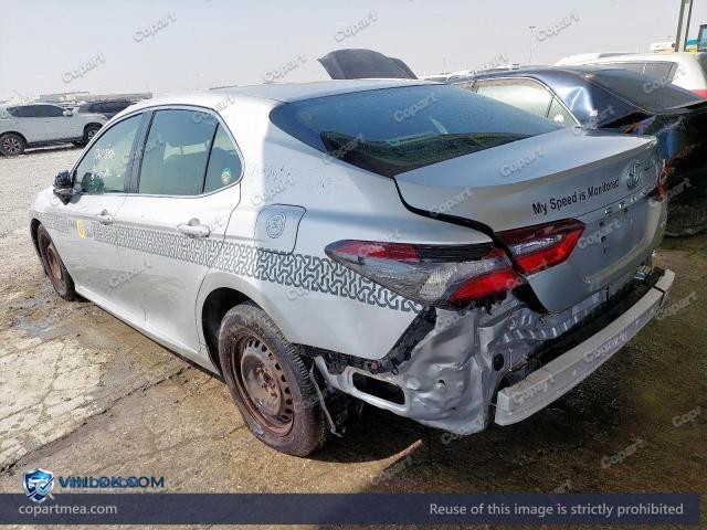 Auction photo