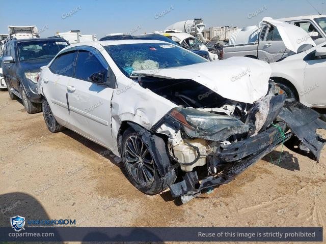 Auction photo