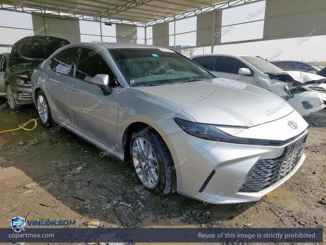 Auction photo