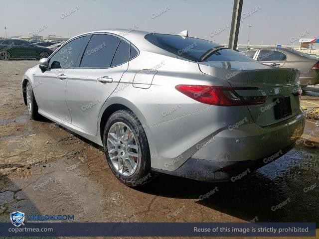 Auction photo