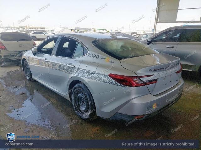 Auction photo