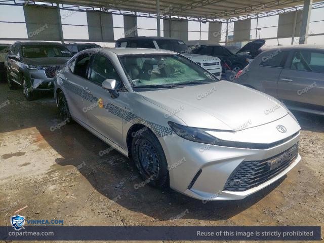 Auction photo
