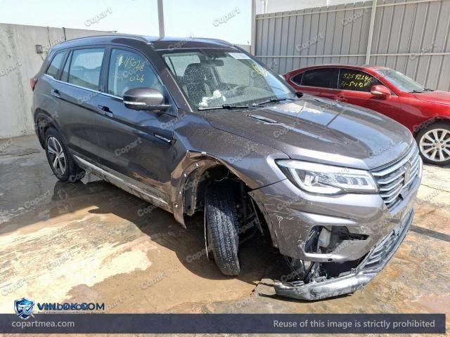 2021 CHAN CS75 — Lot 52115026 auction photo