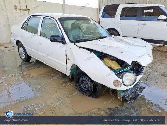Auction photo