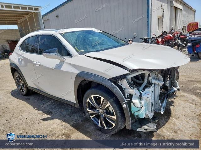 Auction photo