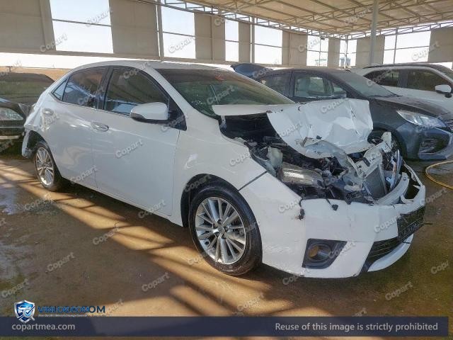 Auction photo