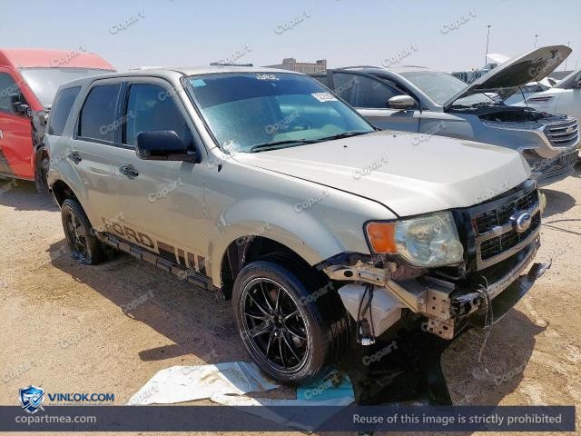 Auction photo