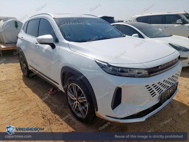 2026 EXEE LX — Lot 52126306 auction photo