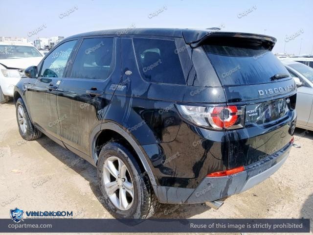 Auction photo