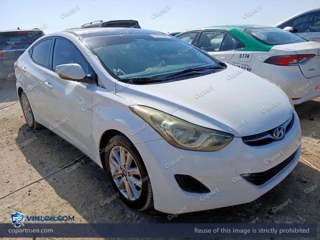 Auction photo
