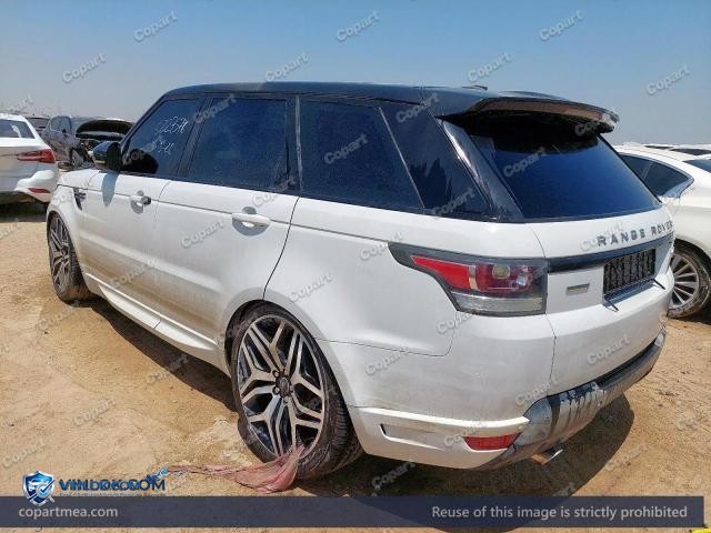 Auction photo