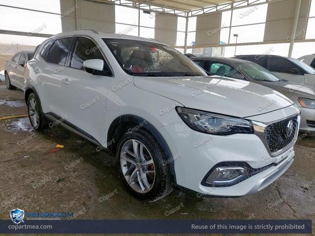 2020 MG HS — Lot 52276026 auction photo