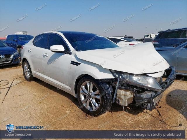 Auction photo