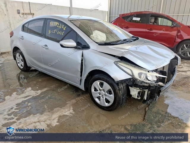 Auction photo