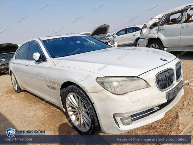 2015 BMW 730LI — Lot 52608206 auction photo