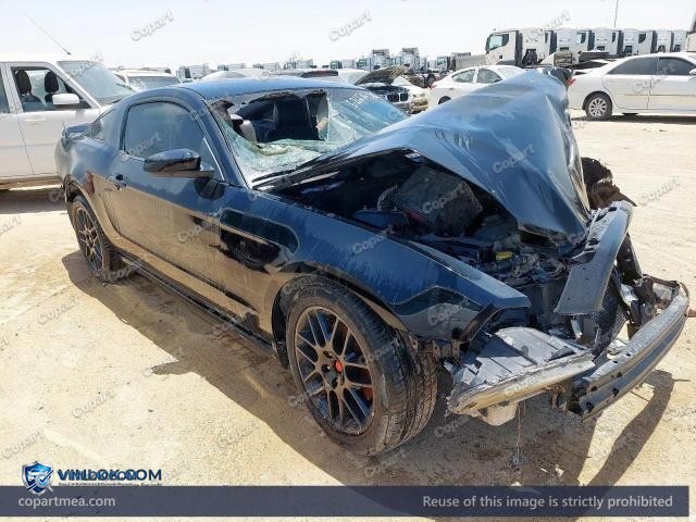 Auction photo