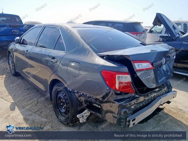 Auction photo