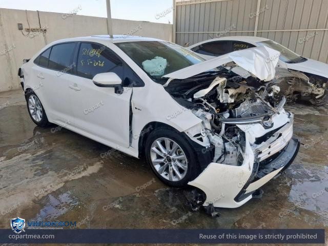 Auction photo