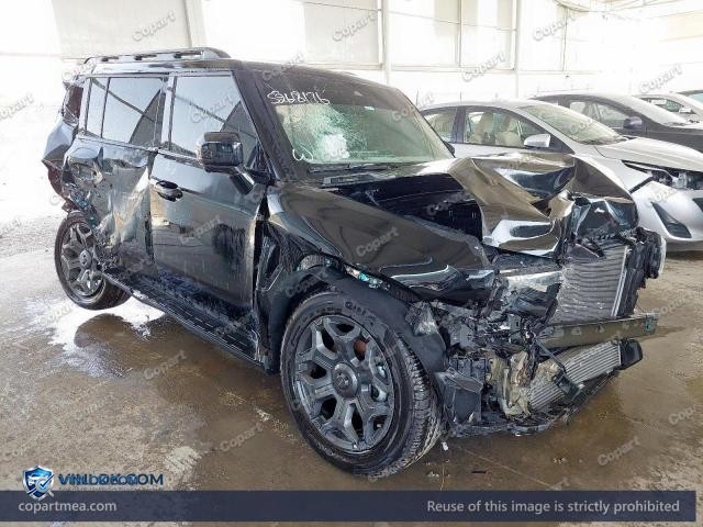 Auction photo