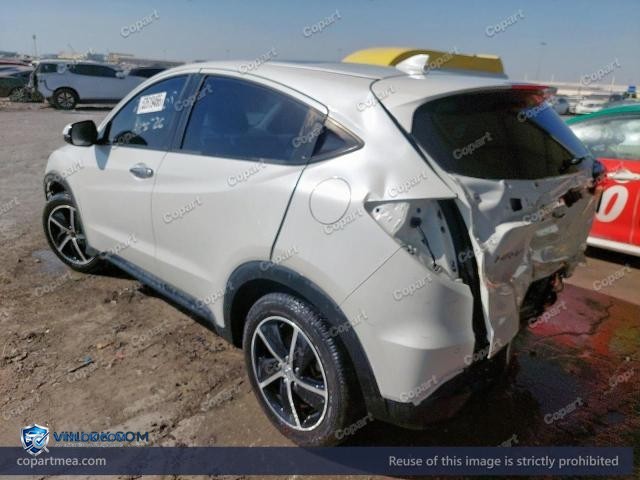 Auction photo