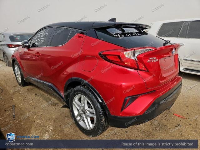 Auction photo
