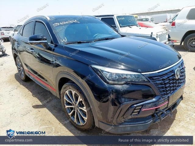2023 CHAN CS85 — Lot 52620896 auction photo