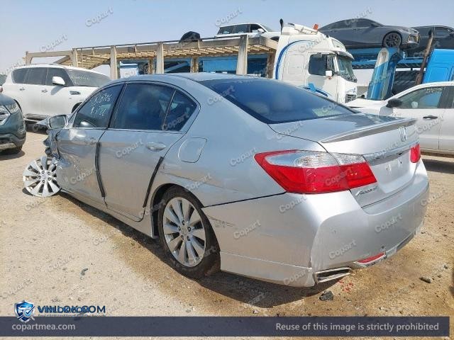 Auction photo