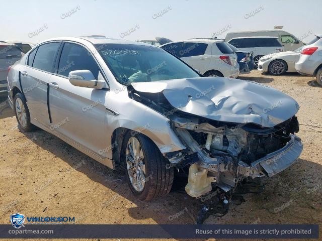 Auction photo