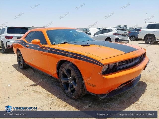 Auction photo
