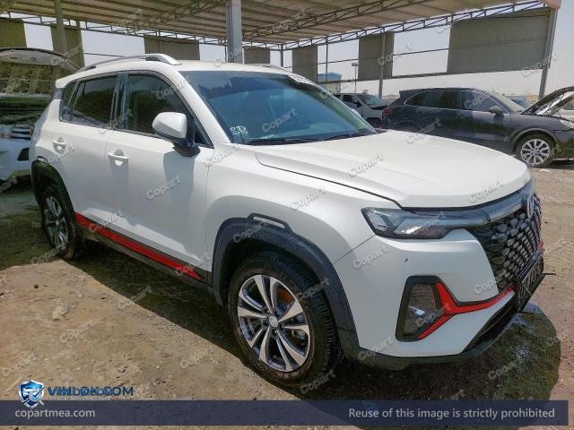 2025 CHAN CS35 PLUS — Lot 52623716 auction photo