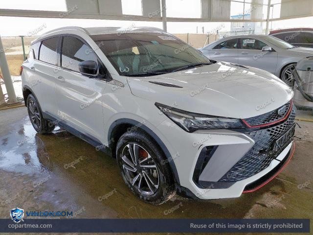 2024 GEEL COOLRAY — Lot 52624736 auction photo