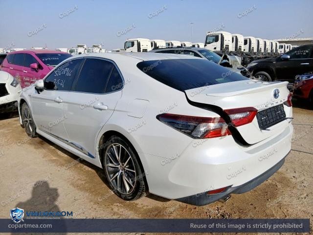 Auction photo
