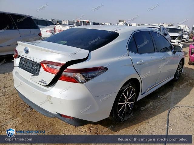 Auction photo