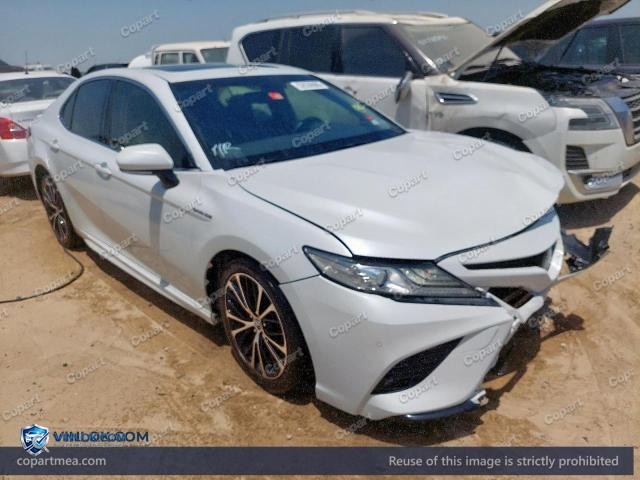 Auction photo