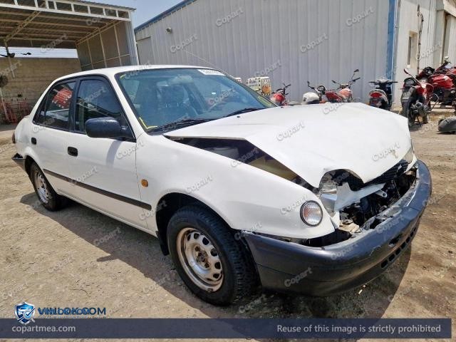 Auction photo