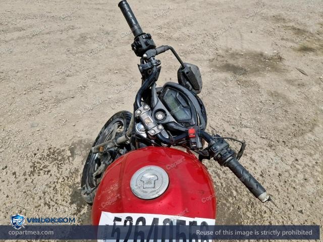 Auction photo