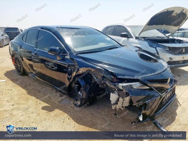 Auction photo