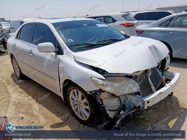 Auction photo