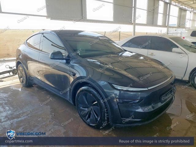 2025 TESLA MODEL Y — Lot 52786186 auction photo