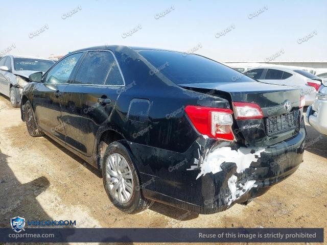 Auction photo