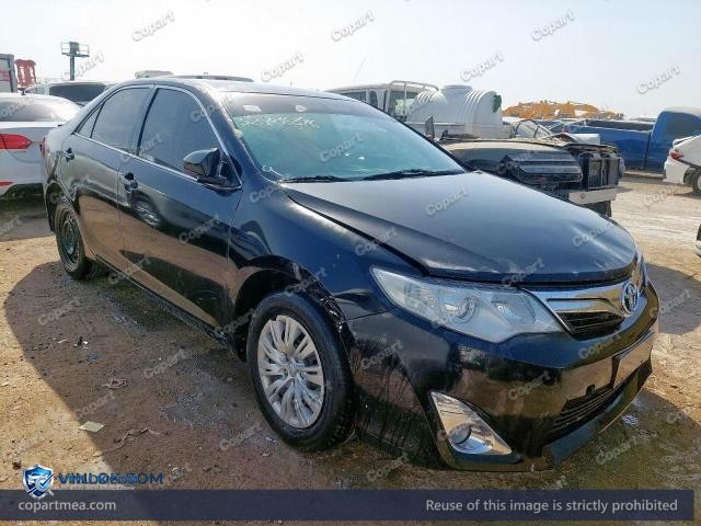 Auction photo
