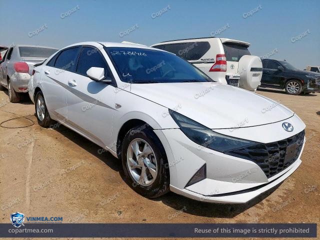 Auction photo