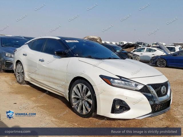 2023 NISSAN MAXIMA — Lot 52786616 auction photo
