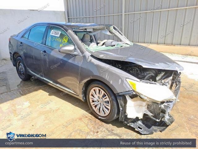 Auction photo
