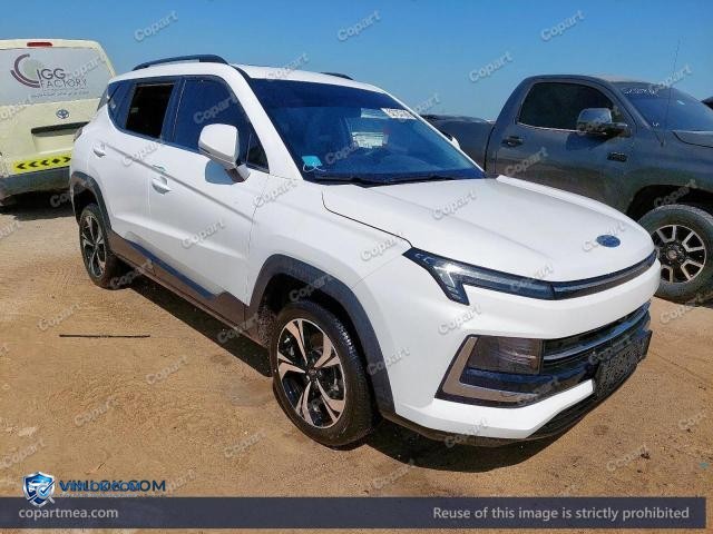2025 JAC JS4 — Lot 52787106 auction photo