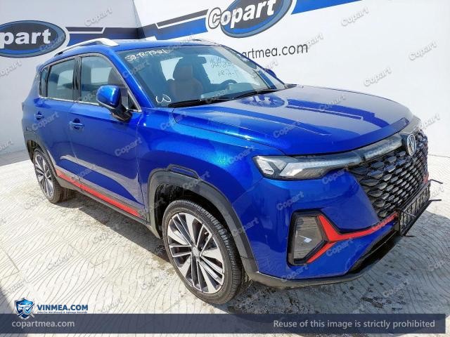 2023 CHAN CS35 — Lot 52787226 auction photo