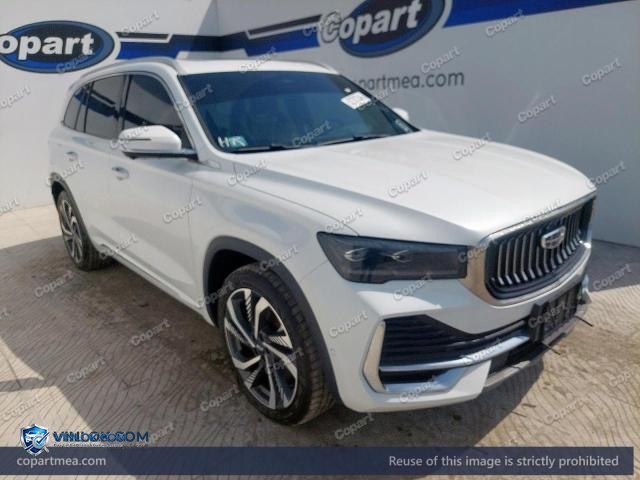 2024 GEEL MONJARO — Lot 52787346 auction photo