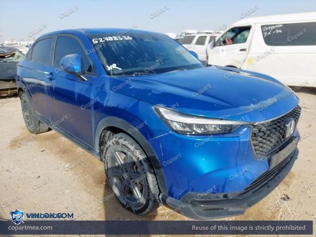 Auction photo